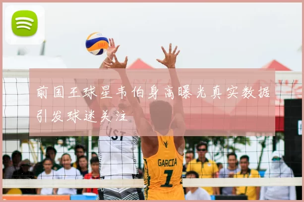 前国王球星韦伯身高曝光真实数据引发球迷关注