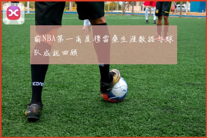 前NBA第一高度穆雷桑生涯数据与球队成就回顾