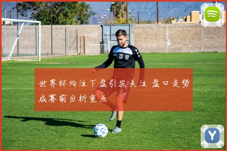 世界杯均注下盘引发关注 盘口走势成赛前分析重点