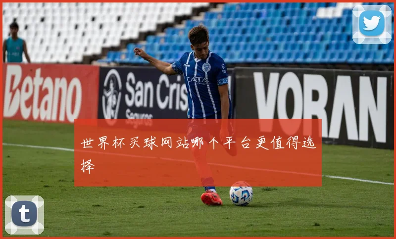 世界杯买球网站哪个平台更值得选择