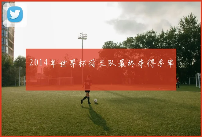 2014年世界杯荷兰队最终夺得季军