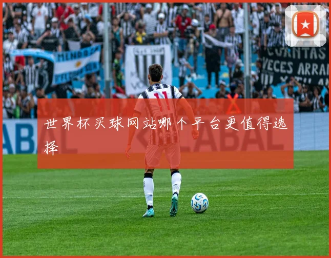 世界杯买球网站哪个平台更值得选择