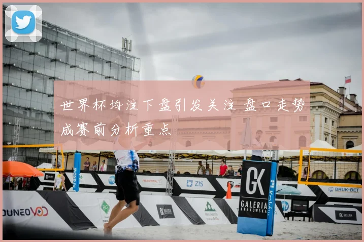 世界杯均注下盘引发关注 盘口走势成赛前分析重点