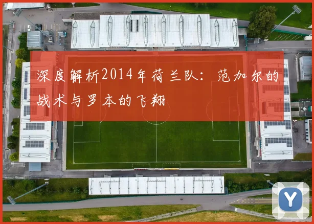 深度解析2014年荷兰队：范加尔的战术与罗本的飞翔