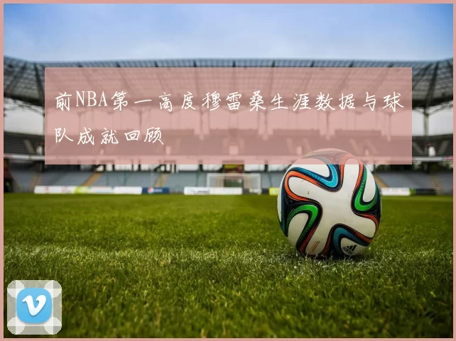 前NBA第一高度穆雷桑生涯数据与球队成就回顾
