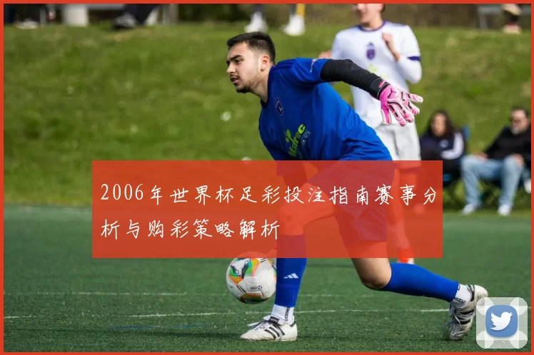 2006年世界杯足彩投注指南赛事分析与购彩策略解析